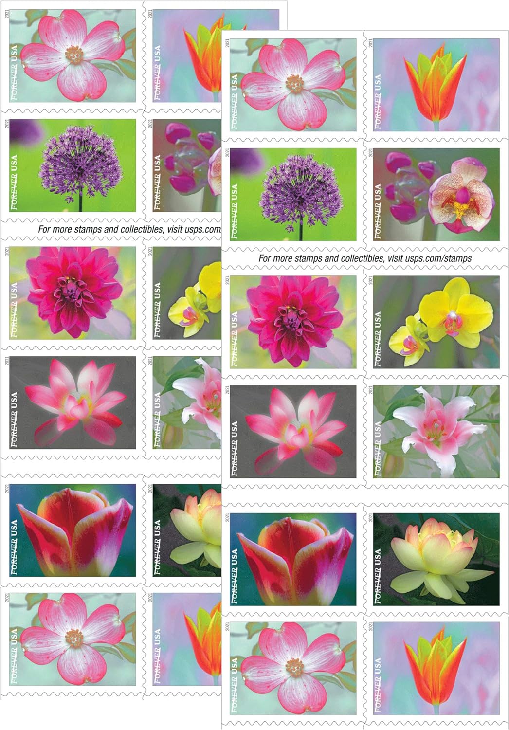 Flowers Stamps