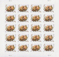 Celebration Corsage Two Ounce Forever First Class Postage Stamps image 0