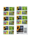 Garden Delights Forever Stamps image 0
