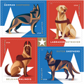 USPS Military Working Dogs Forever First Class Postage Stamps image 0