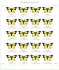 USPS California Dogface Butterfly Forever First Class Postage Stamps image 0