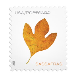 USPS Forever Stamps Vibrant Leaves Postcard Stamps, Sheet of 20