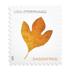 USPS Forever Stamps Vibrant Leaves Postcard Stamps, Sheet of 20